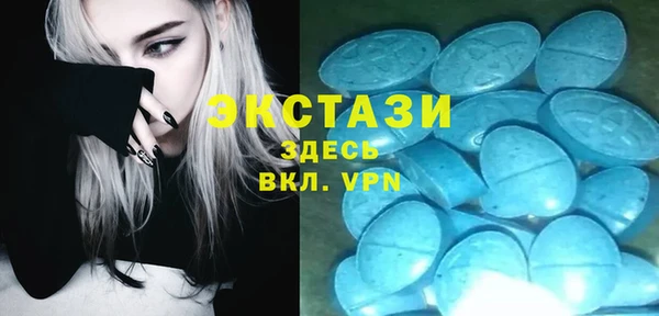ECSTASY Каменка