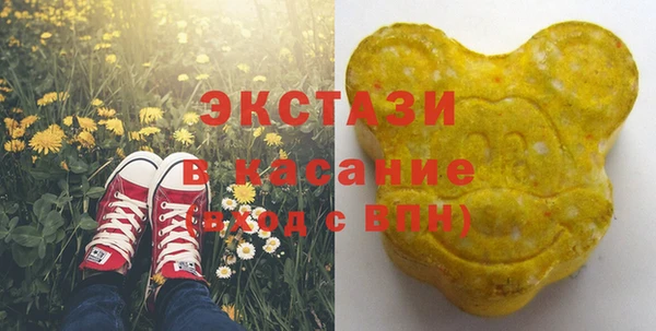 ECSTASY Каменка