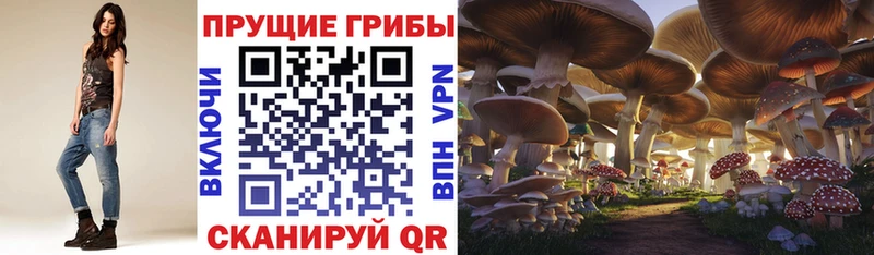 Псилоцибиновые грибы Magic Shrooms  Купить  Бугуруслан 